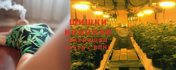 ГАЛЛЮЦИНОГЕННЫЕ ГРИБЫ Сатка