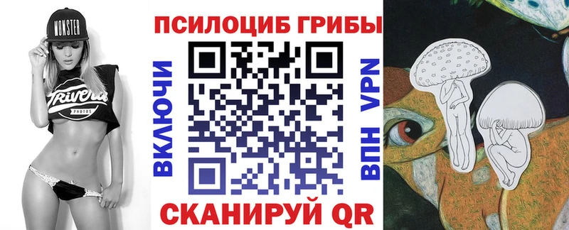 магазин  наркотиков  Чкаловск  Псилоцибиновые грибы мухоморы 